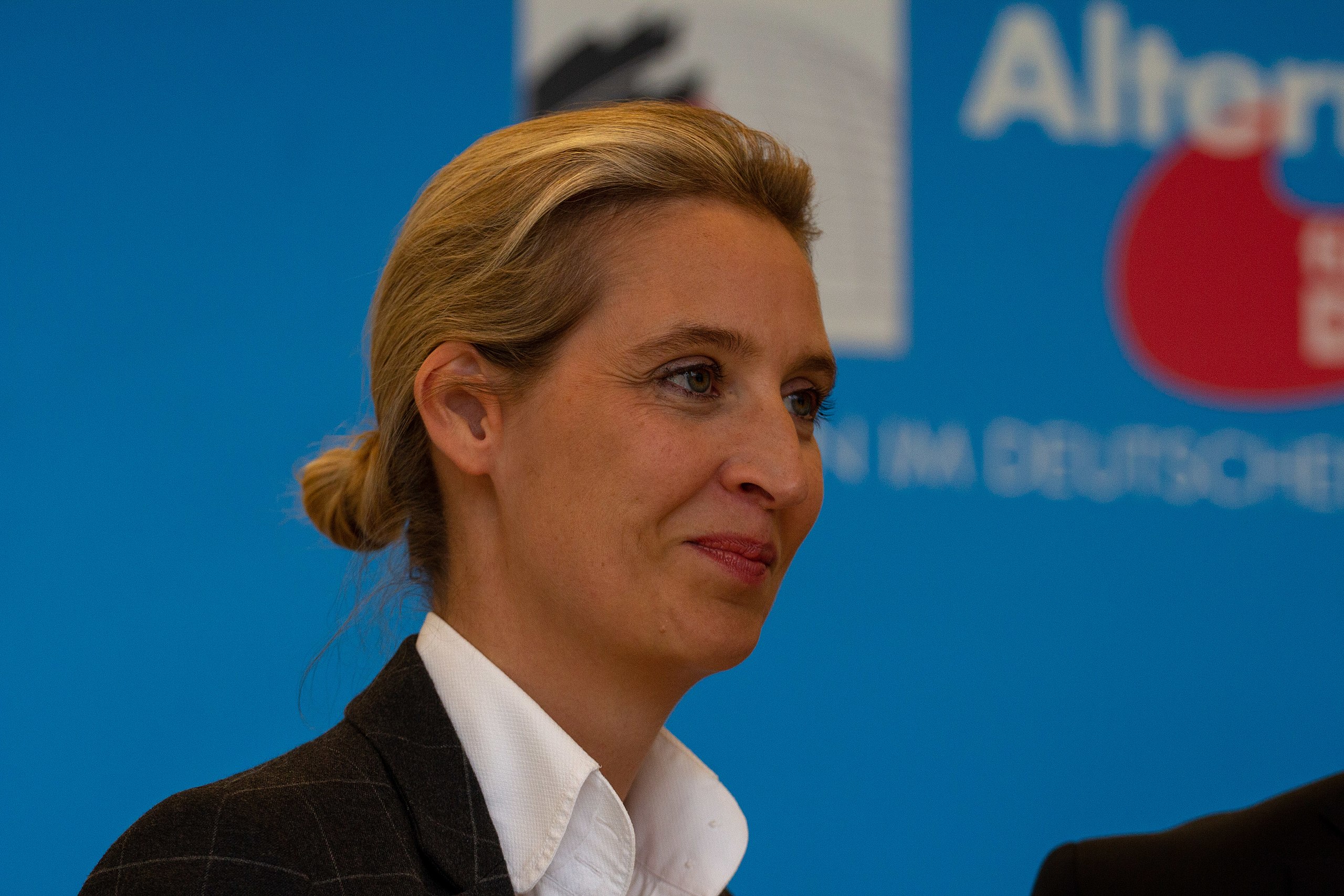 Alice Weidel, co-chair of Alternative for Germany